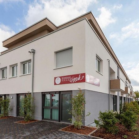 Boardinghouse Hirsch - Apartments In Kork Kehl 외부 사진